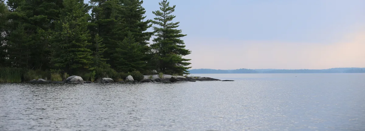 Pine trees on a rocky lake shore at dusk, calm water beyond