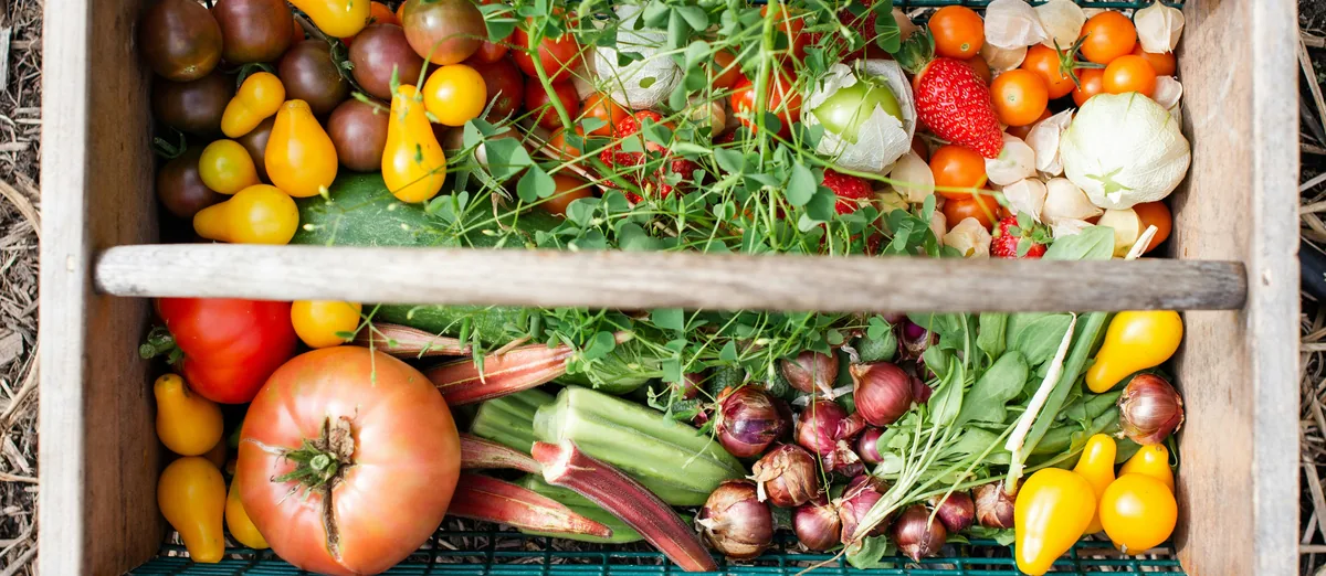 An overhead wooden crate packed with fresh tomatoes, cucumbers, strawberries, and greens